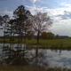 Image for article titled Shooting Challenge: Cellphone Gallery Part 4